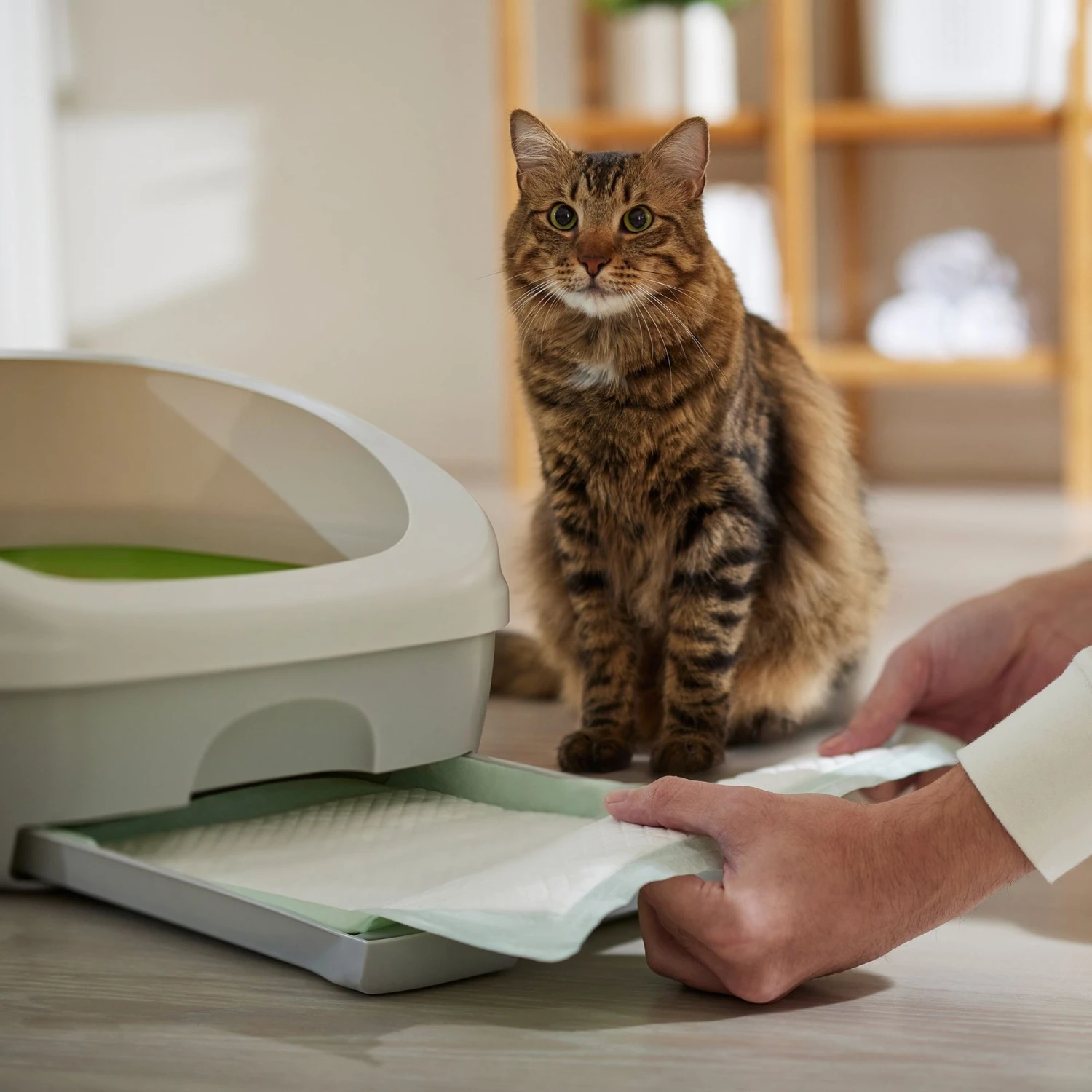 Frisco Cat Litter Pads, Unscented - Image 6