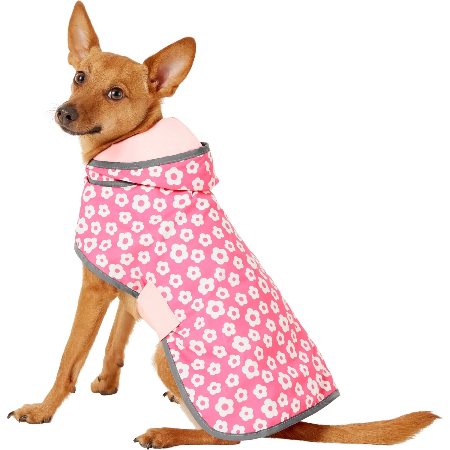 Frisco Lightweight Reversible Packable Travel Dog Raincoat - Image 3