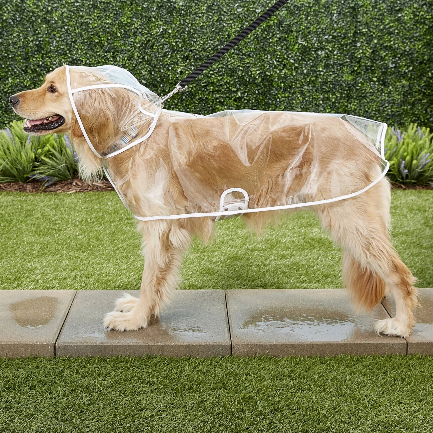 Frisco Lightweight Clear Vinyl Dog Raincoat - Image 6
