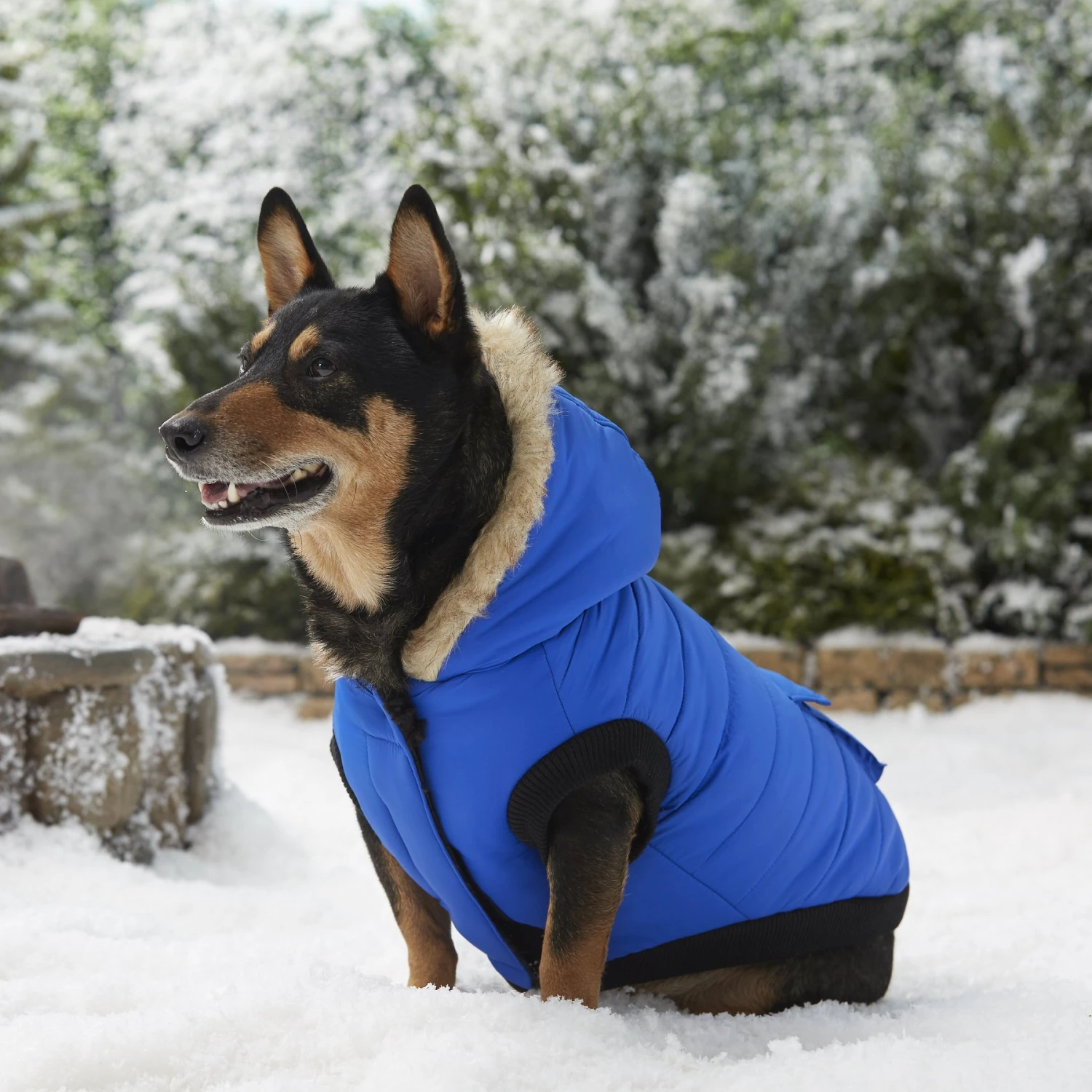 Frisco Heavyweight Anchorage Insulated Dog & Cat Parka - Image 8