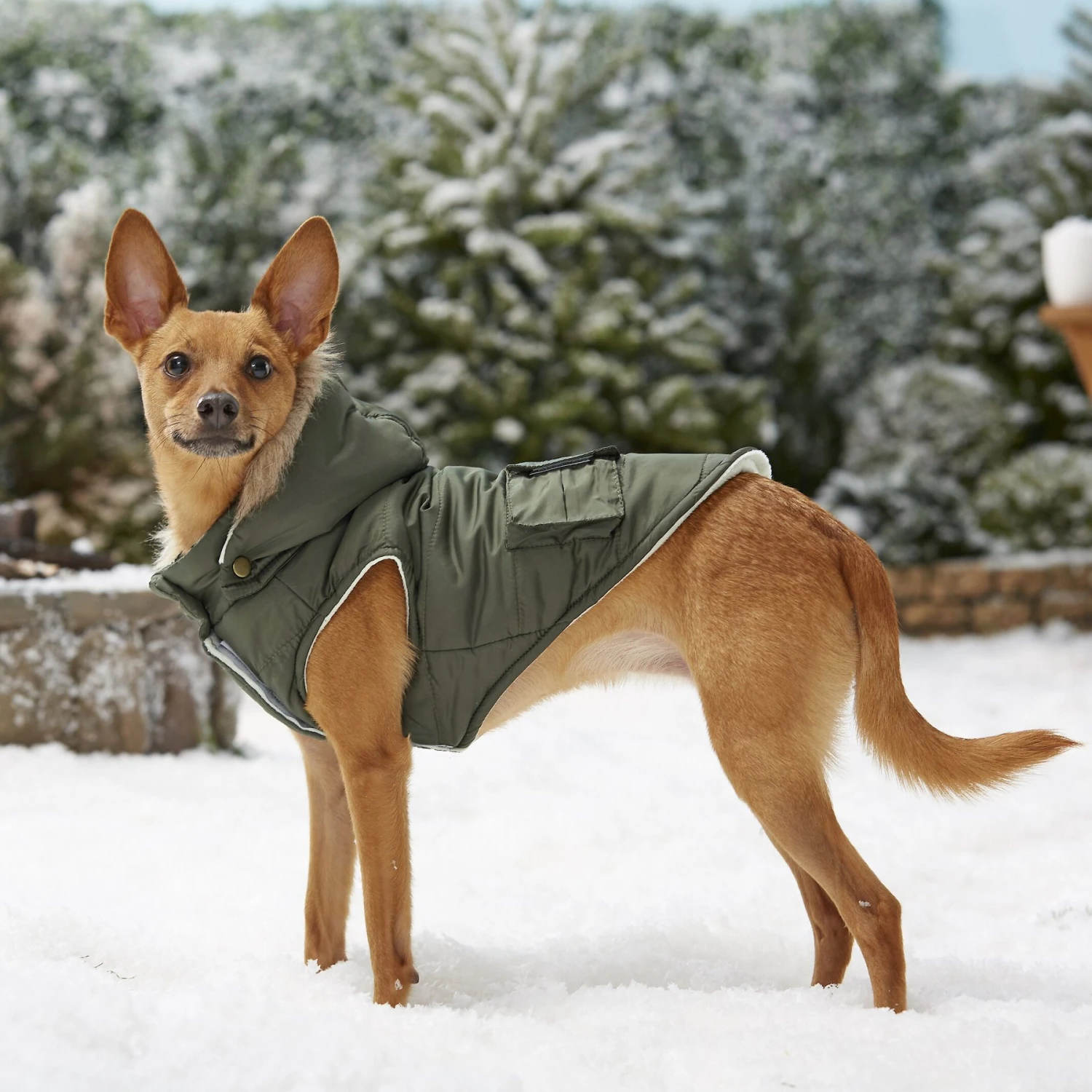 Frisco Mid-Heavyweight Portland Insulated Dog & Cat Parka - Image 8