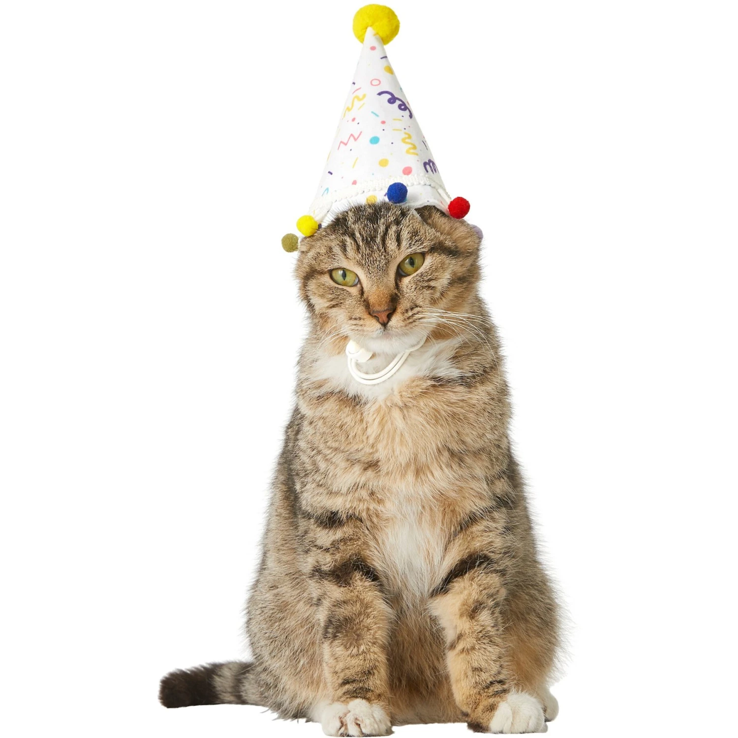 Frisco Confetti Dog & Cat Birthday Hat - Image 3