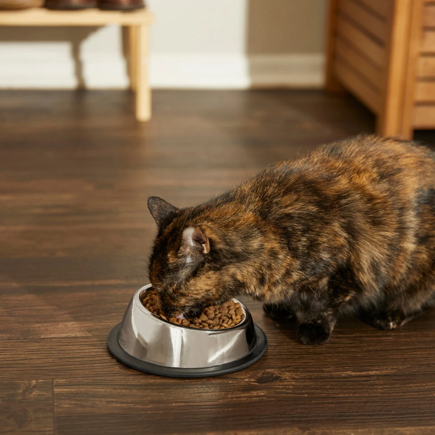Frisco Stainless Steel Taper Non-Skid Cat Bowl - Image 6