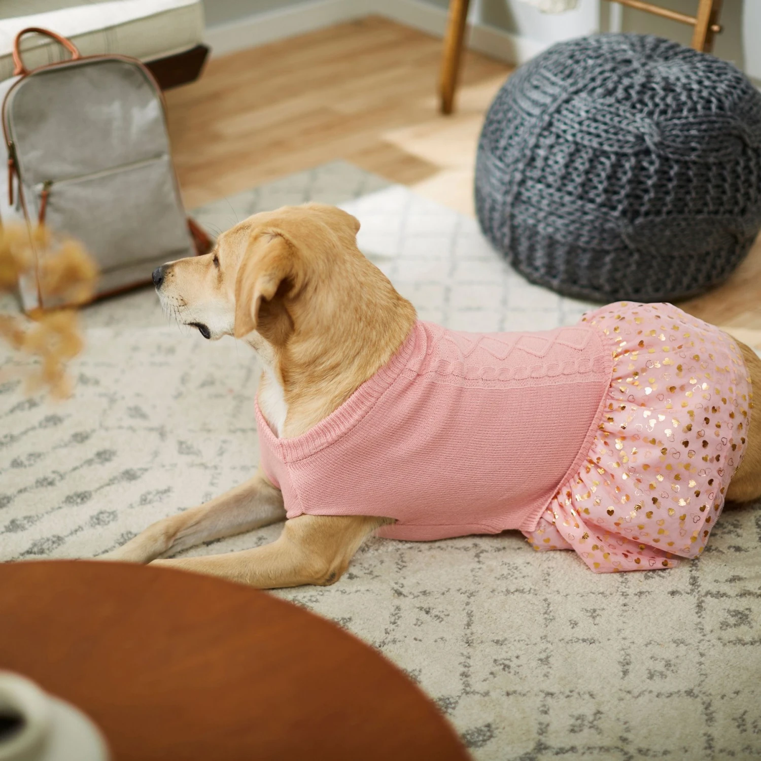 Frisco Cable Knit Dog & Cat Sweater Dress - Image 6