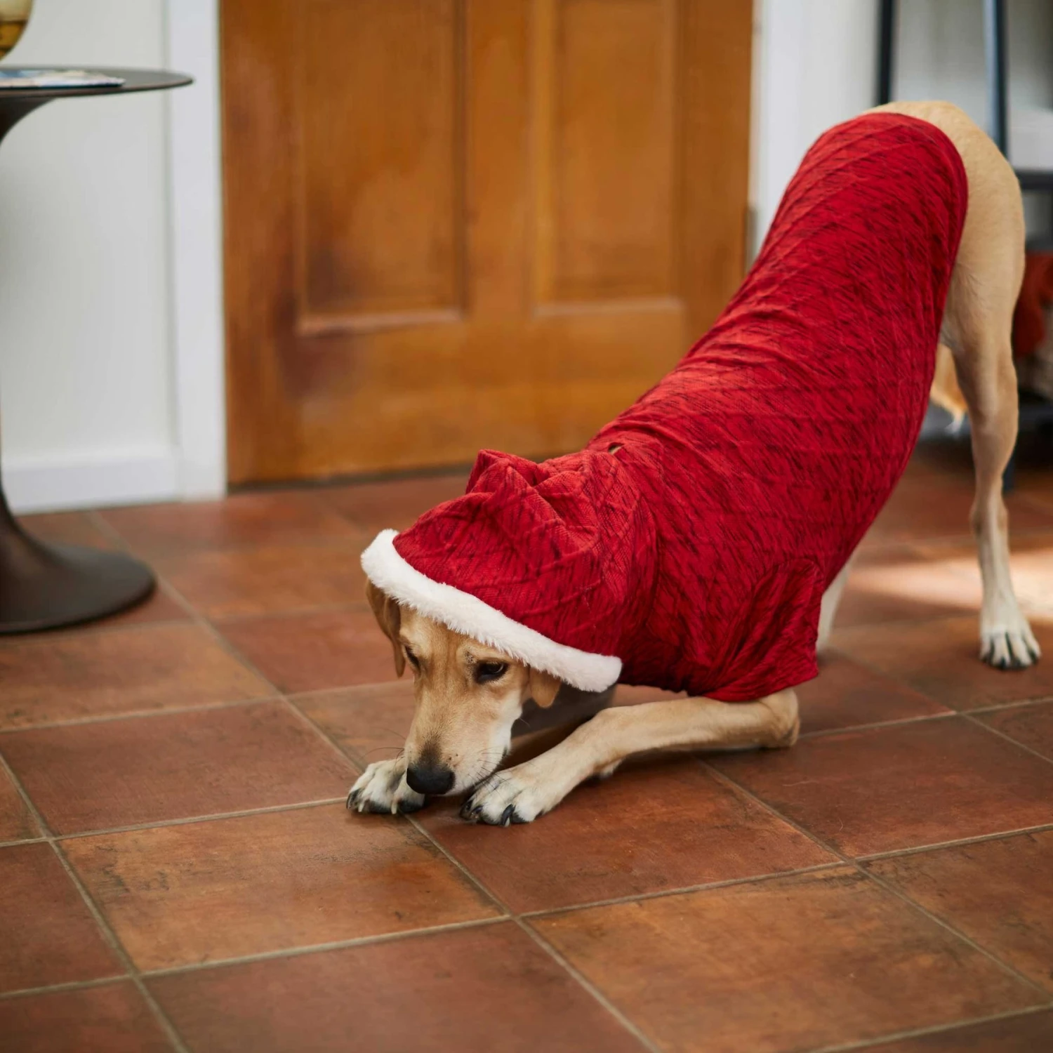 Frisco Textured Knit Dog & Cat Hoodie - Image 7