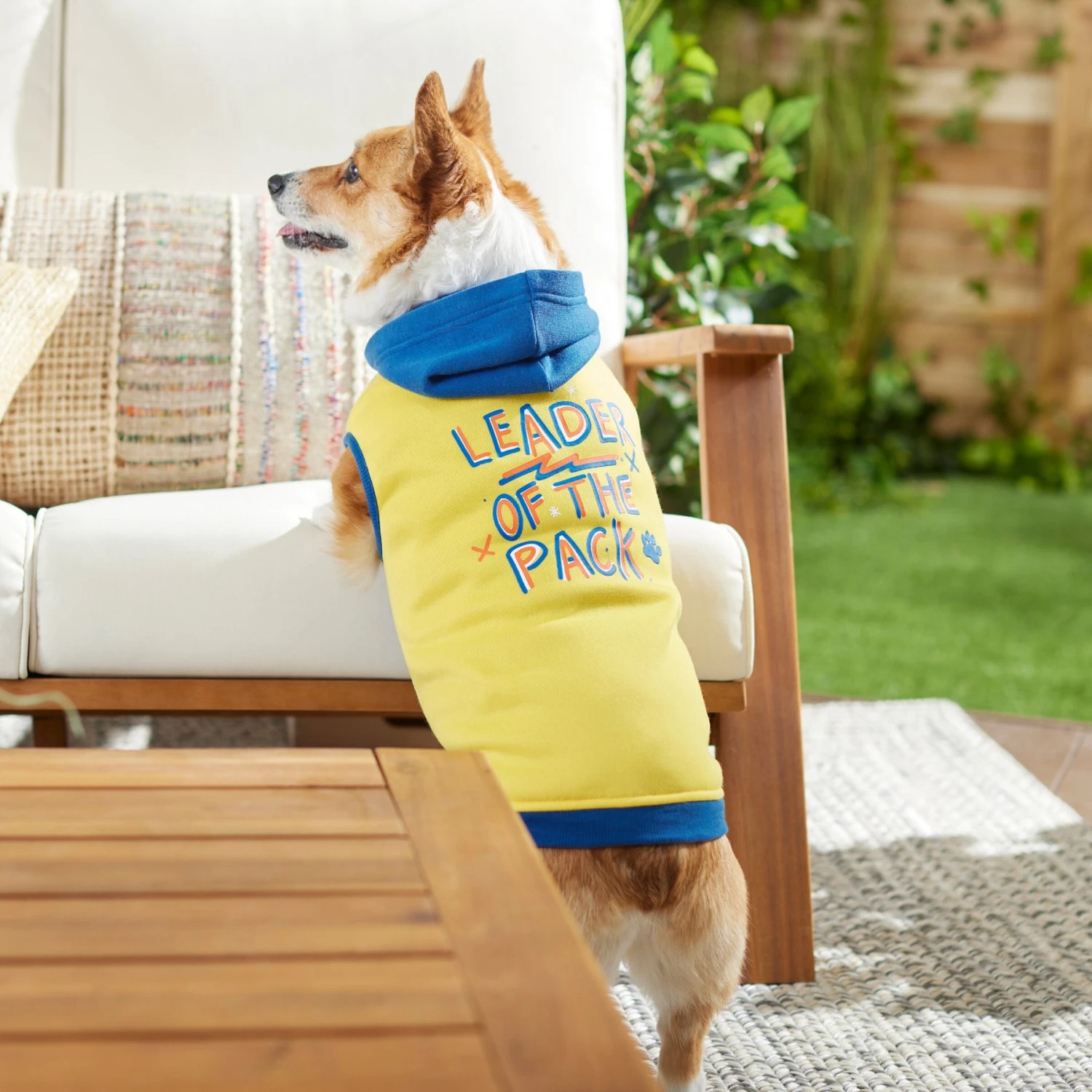 Frisco Leader Of The Pack Dog & Cat Hoodie - Image 7