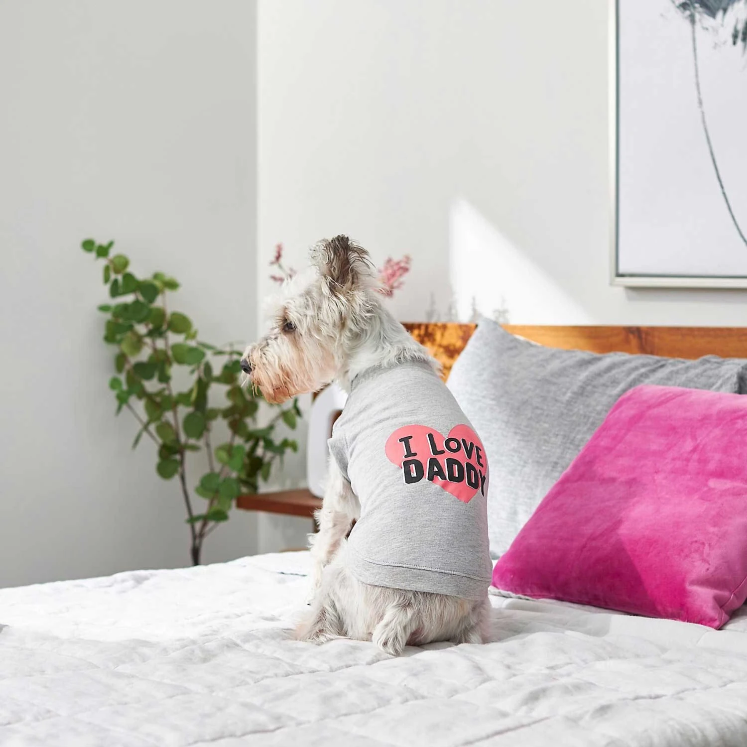 Frisco I Love Daddy Dog & Cat T-Shirt, Gray - Image 6