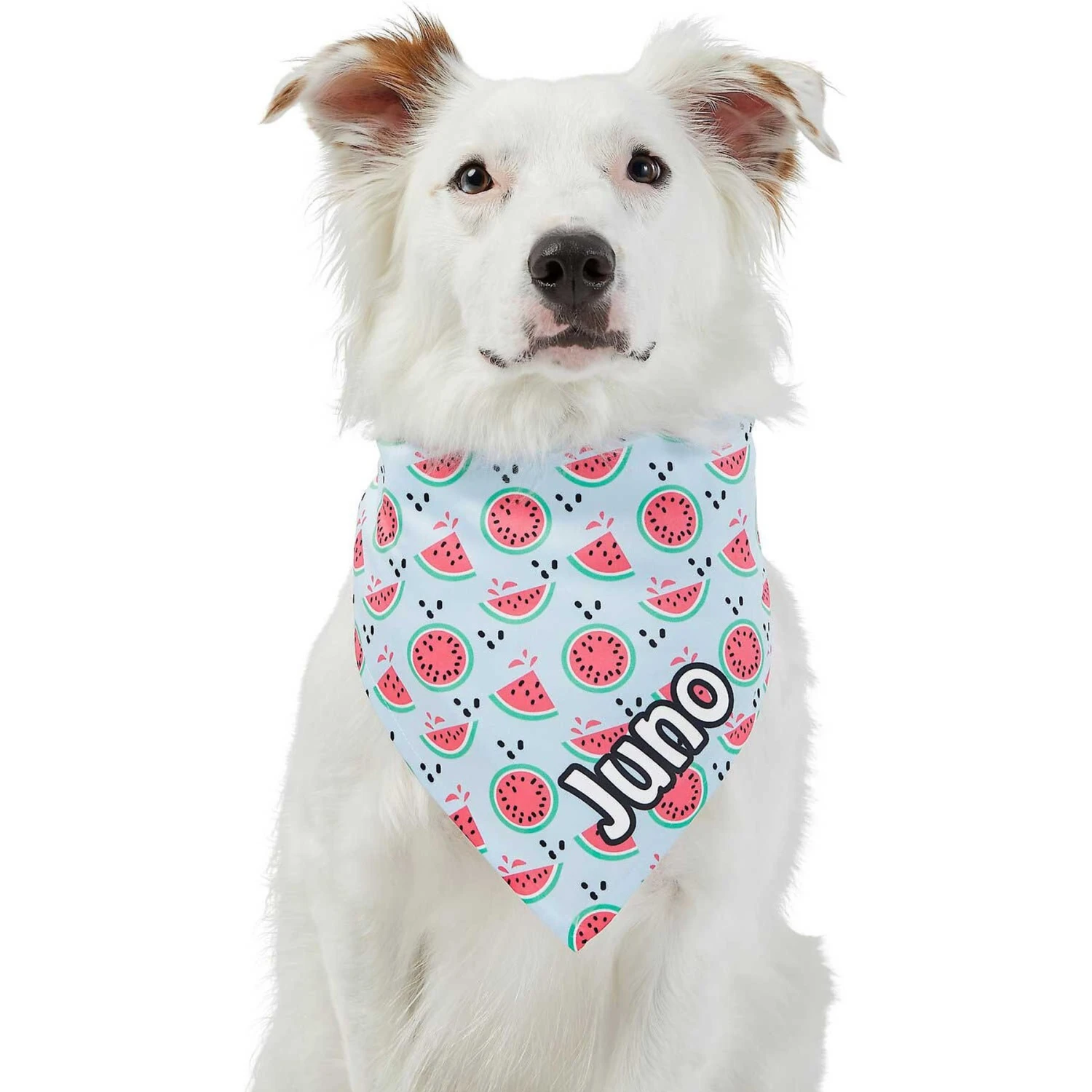 Frisco Watermelons Personalized Dog & Cat Bandana - Image 7