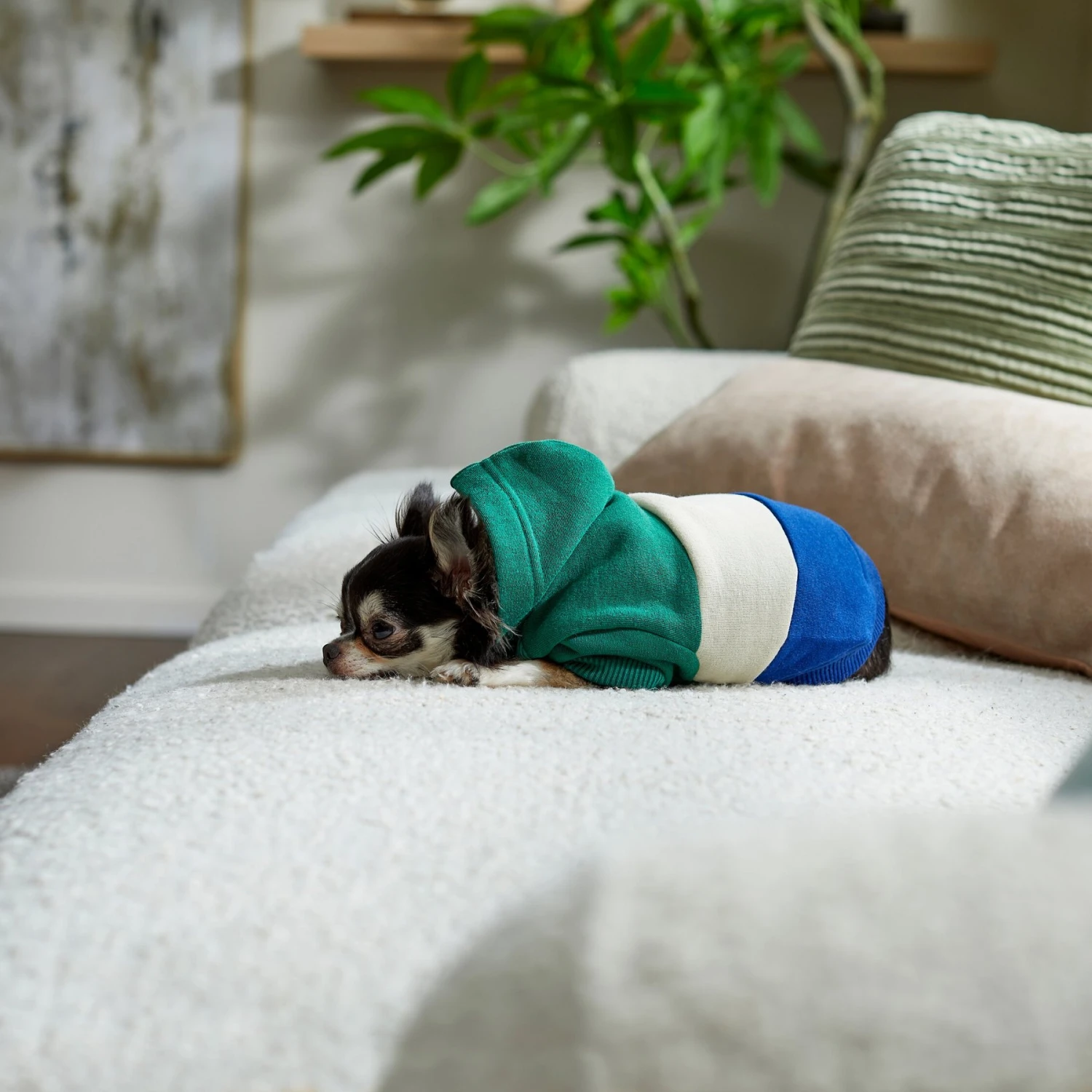 Frisco Colorblock Dog & Cat Hoodie With Sleeves - Image 8