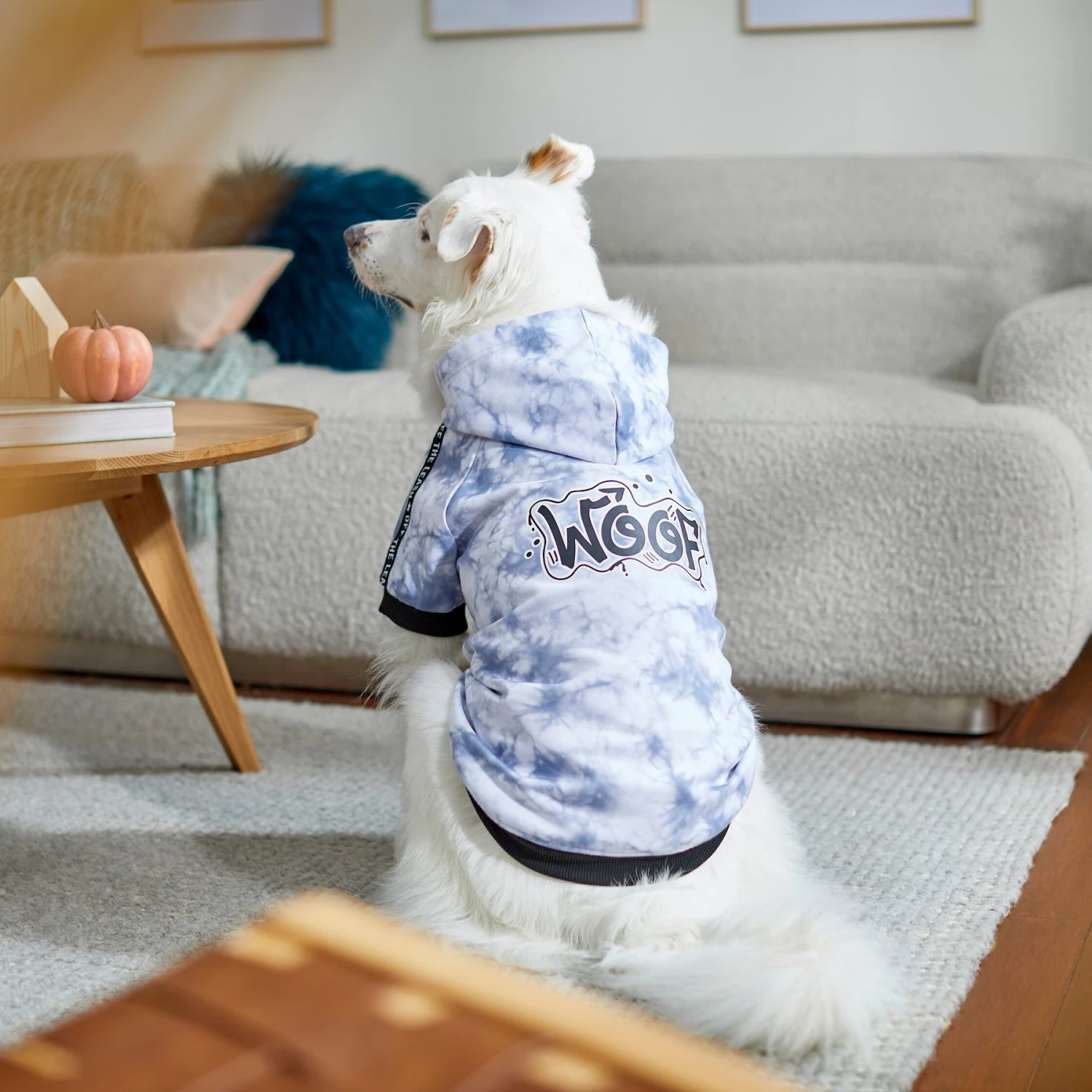 Frisco Woof Tiedye Print Dog & Cat Hoodie - Image 8