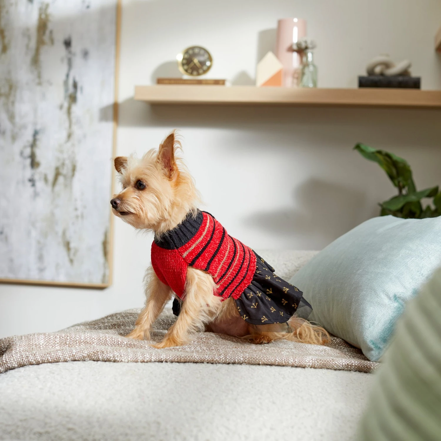 Frisco Chenille Knit Striped Dog & Cat Dress - Image 7