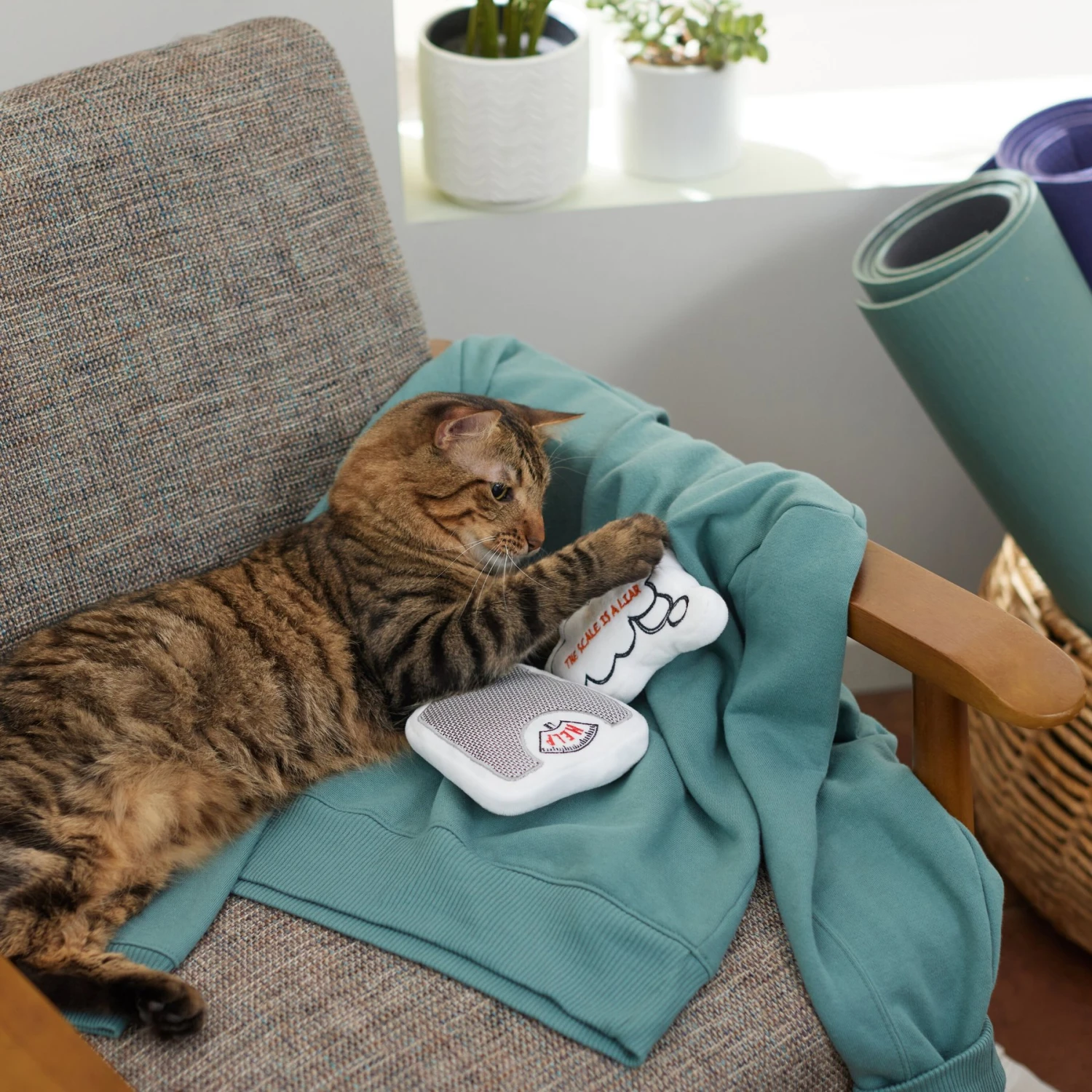 Frisco Scale & Message Bubble Plush Cat Toy With Catnip, 2 Count - Image 3