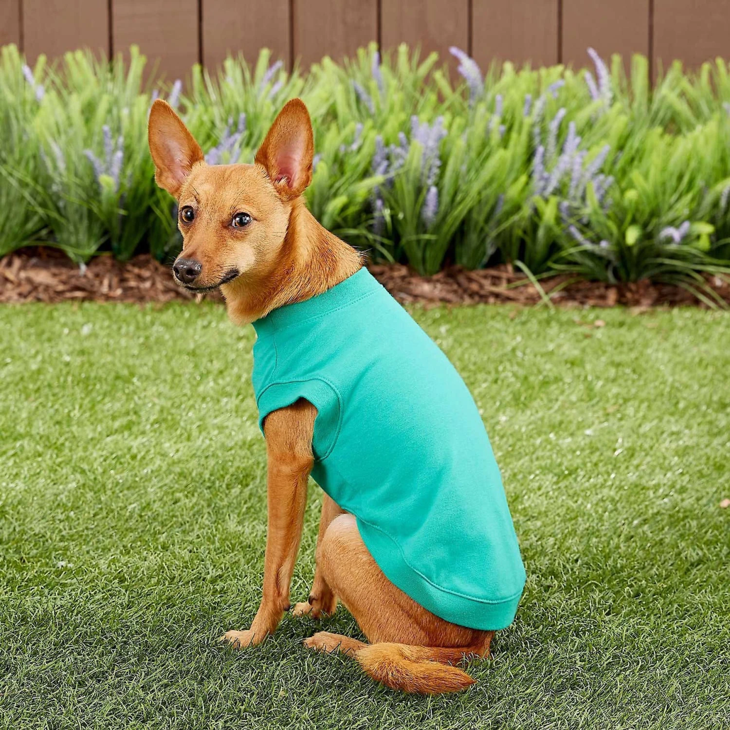 Frisco Basic Dog & Cat T-Shirt & Frisco Dog & Cat Basic Hoodie - Image 7