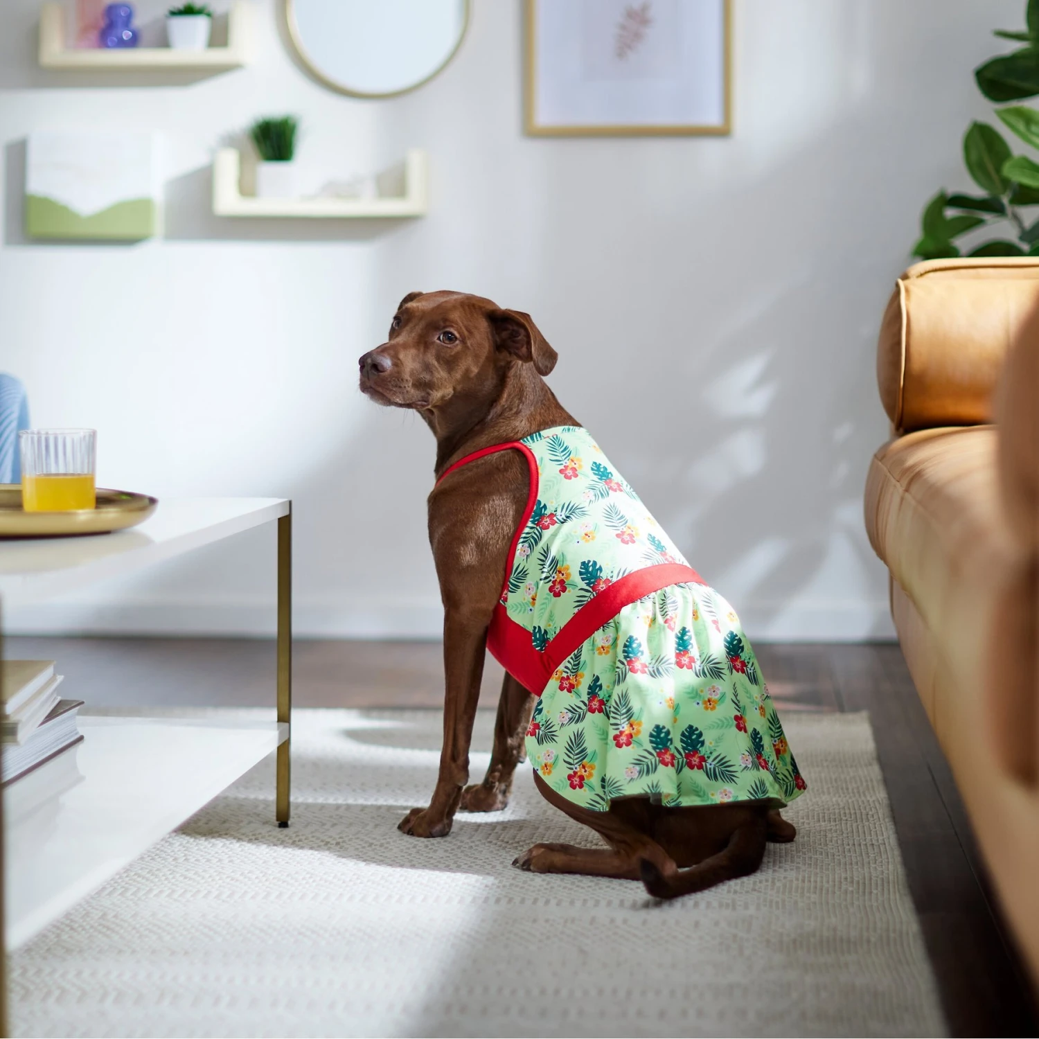 Frisco Hawaiian Floral Dog & Cat Dress - Image 6