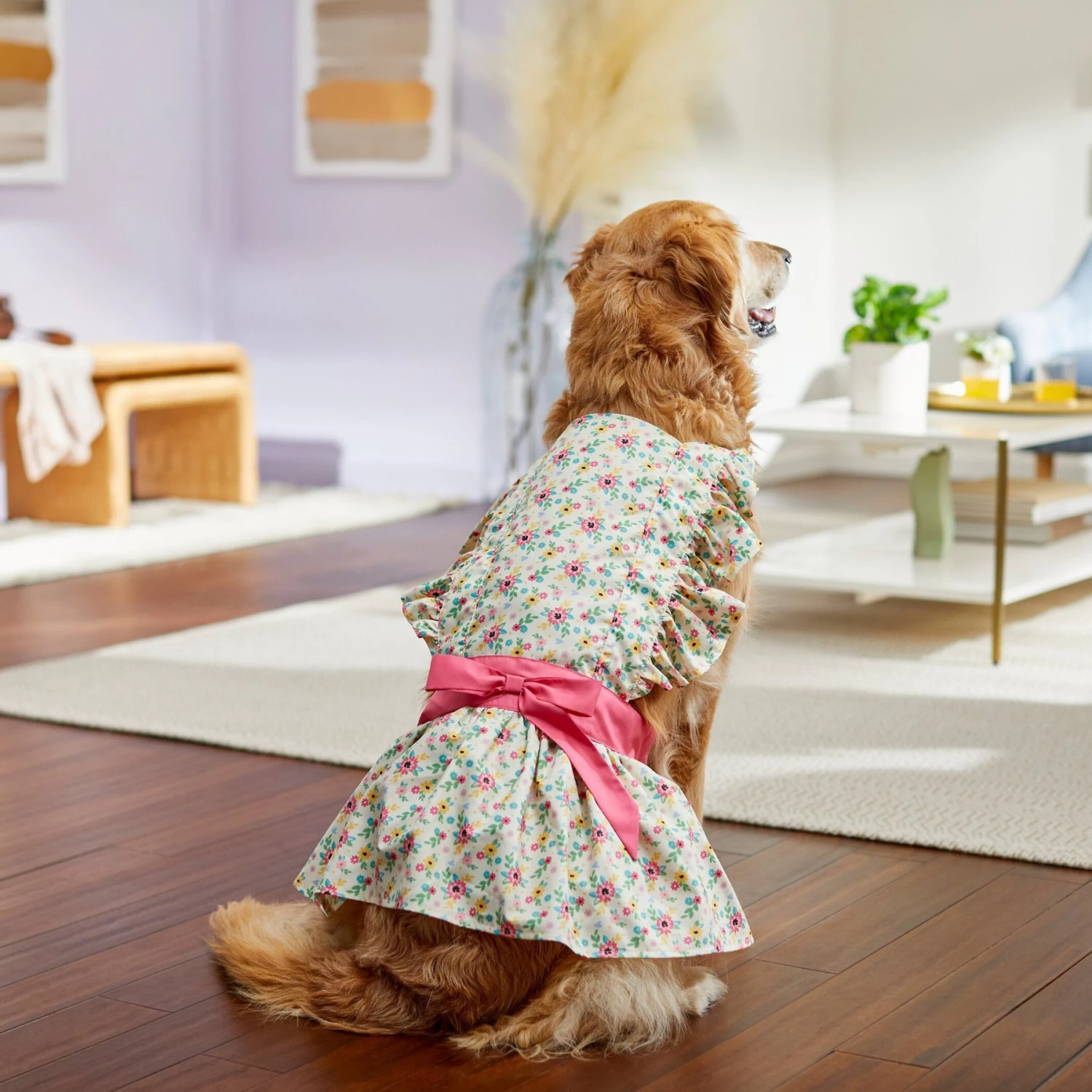 Frisco Dainty Pink Floral Dog & Cat Dress - Image 6