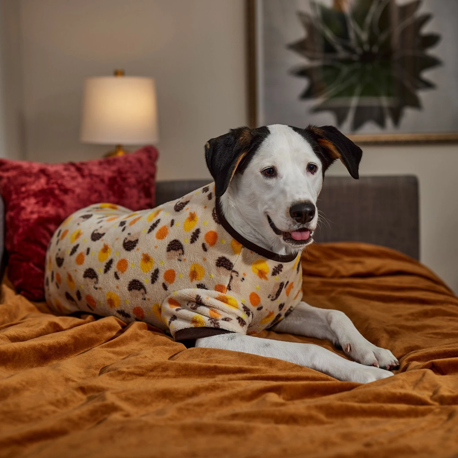 Frisco Hedgehog Dog & Cat Fleece Pajamas - Image 6