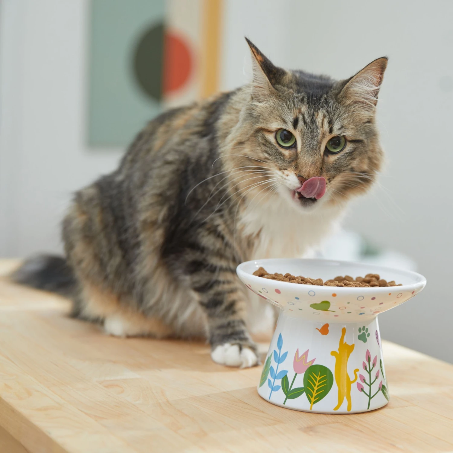 Frisco Cat Face Floral Wide Shape Elevated Non-Skid Ceramic Cat Bowl - Image 3