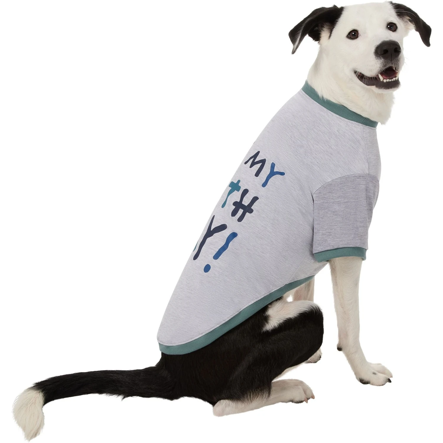 Frisco It's My Birth Day Dog & Cat T-Shirt - Image 4