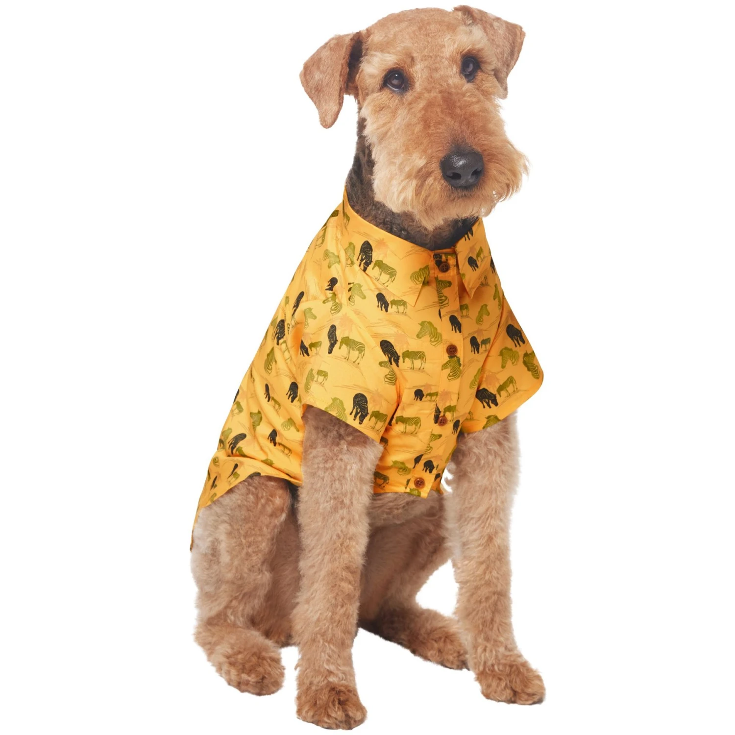 Frisco Safari Zebra Dog & Cat Shirt - Image 4