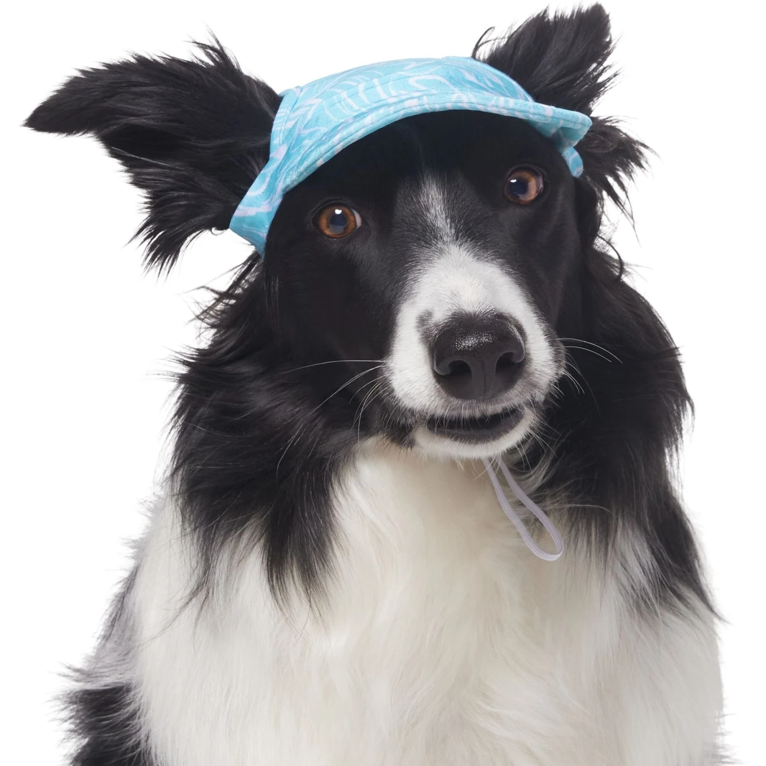 Frisco Blue Ocean Waves 30 + UPF Dog & Cat Beach Cap - Image 4