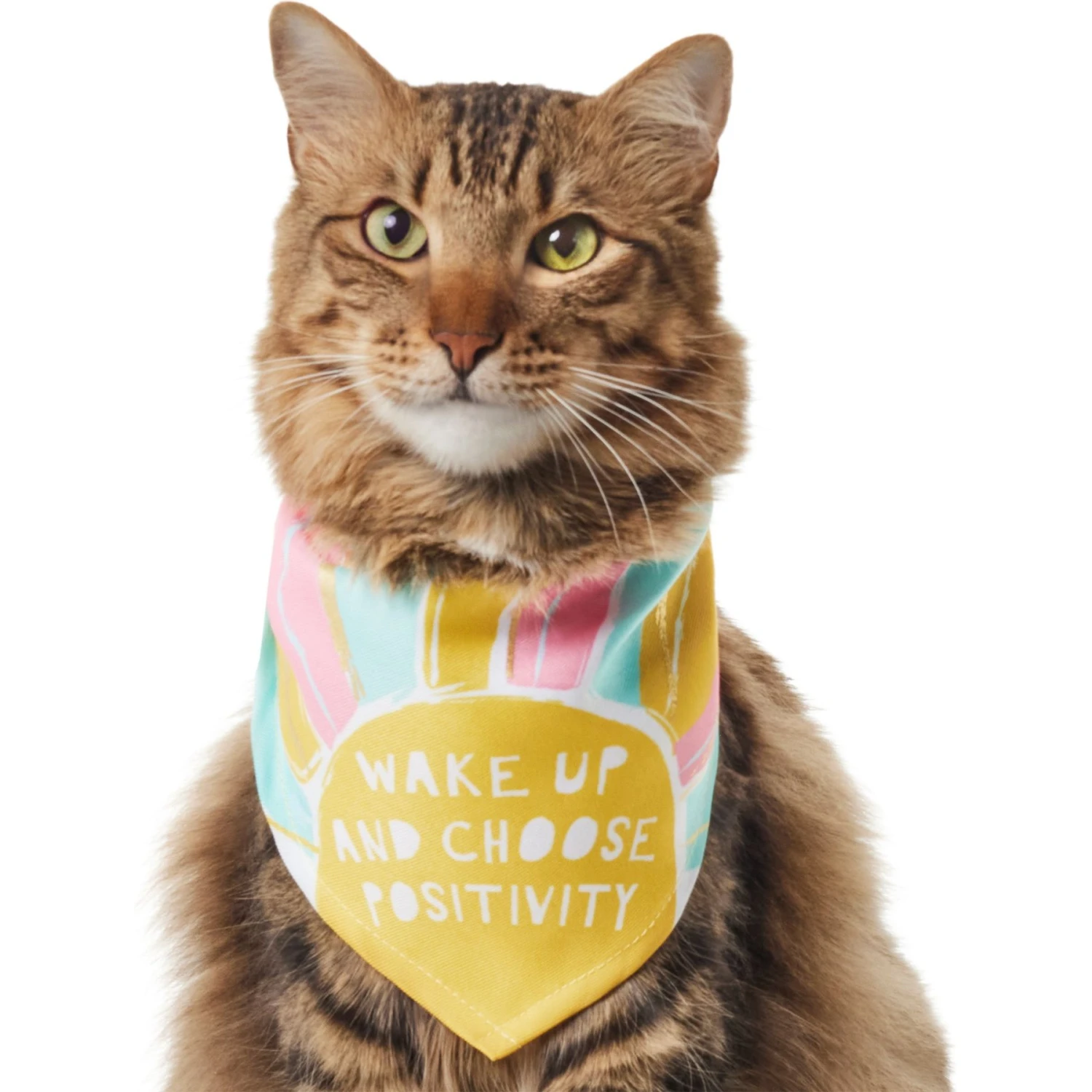 Frisco Wake Up Positive Dog & Cat Bandana - Image 3