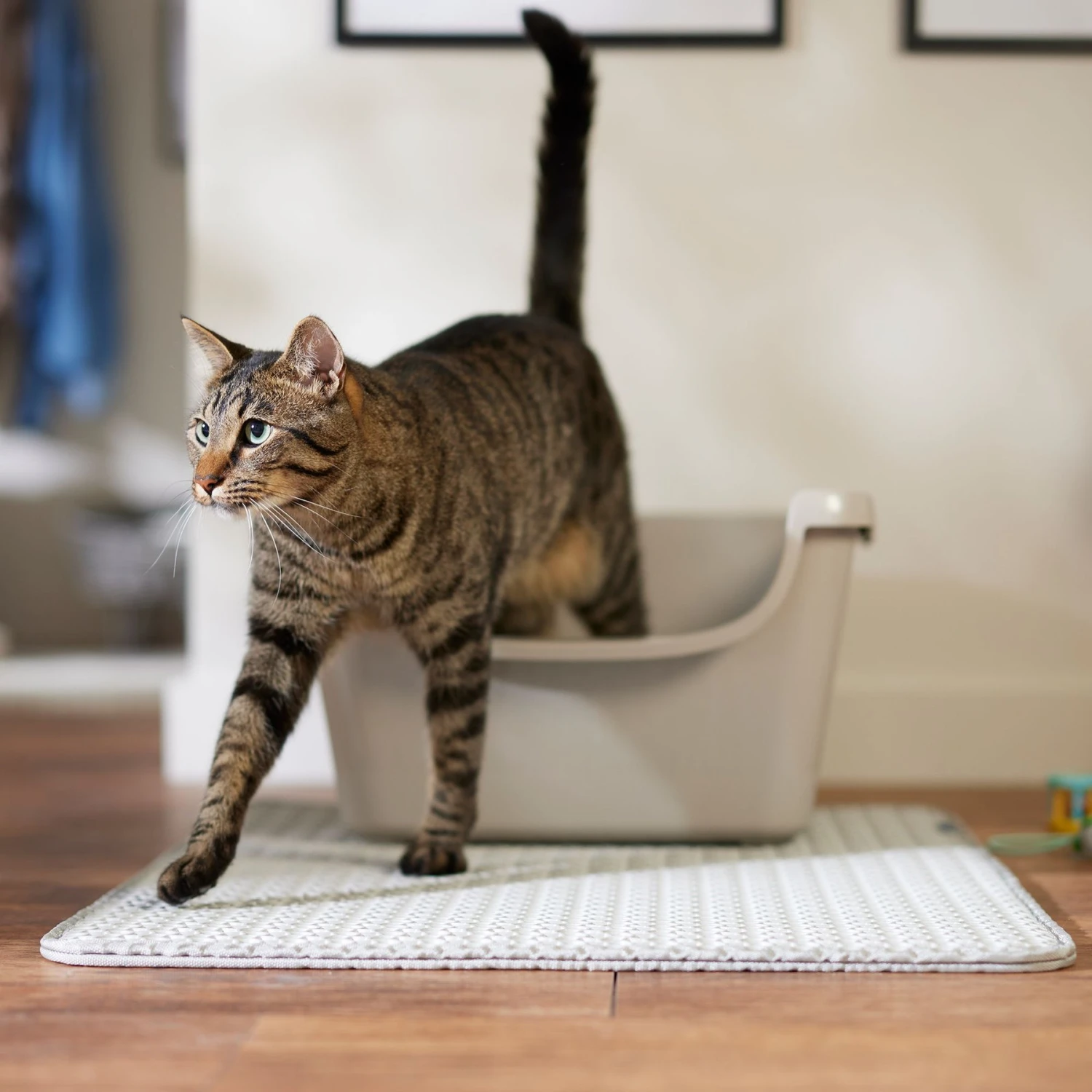 Frisco Cat Litter Trapping Mat - Image 5